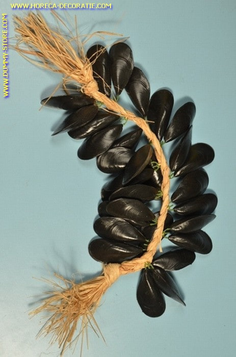 Mussels, string - Length: 50 cm - Fish dummy