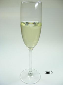 Sekt - Champagne (real glass) 5.5x22/5 cm dummy
