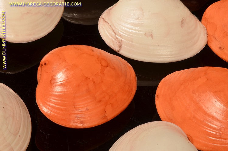 Shells, 12 pieces - Fish dummy