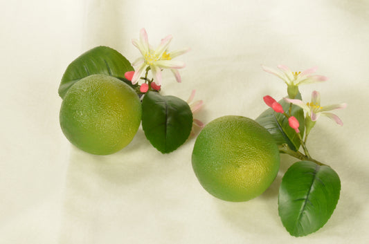 Lime, with leaf lxhxb: 10x7x7 (imitation)