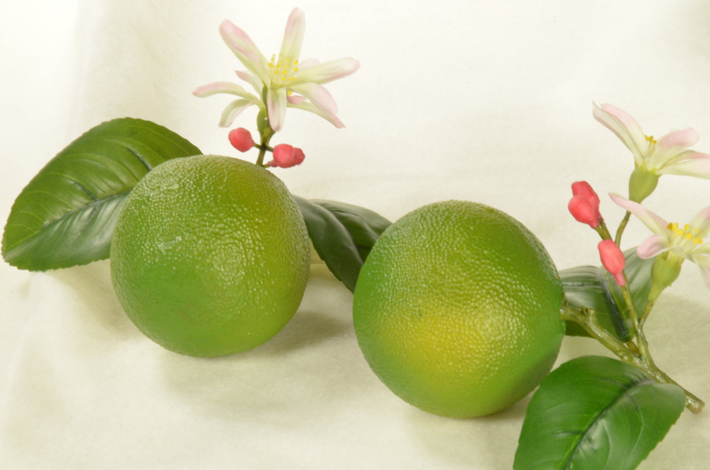 Lime, with leaf lxhxb: 10x7x7 (imitation)