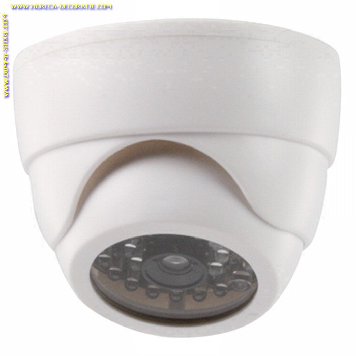 Adjustable dummy dome indoor camera