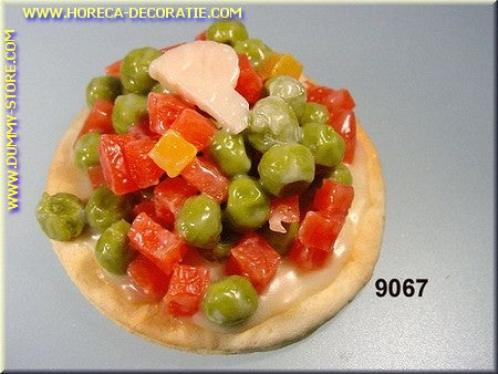 Toast with Vegetable Salad - dummy