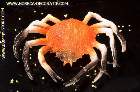 Crab, (C1) - 200x200 mm - Fish dummy