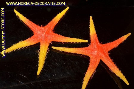 Starfish, 2 pieces - Ø 300 mm - fish dummy
