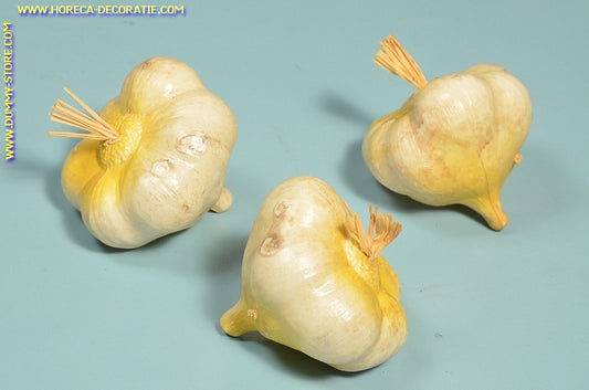Garlic, 3 pieces (dummy) 70x50 mm