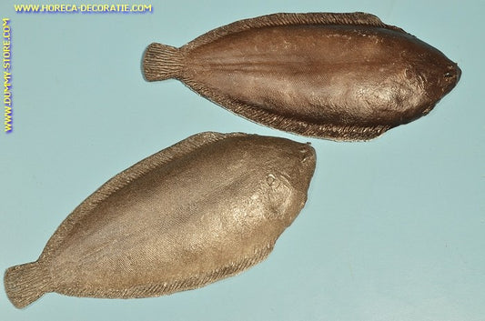 Tongue, 2 pieces - 270x120 mm - Fish dummy