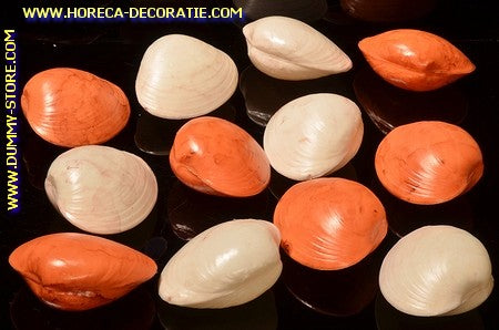 Shells, 12 pieces - Fish dummy