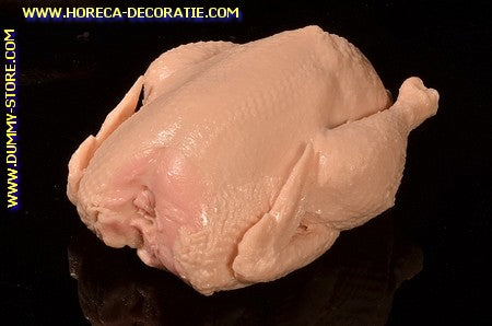 Chicken, raw - 23x17x10 cm DUMMY